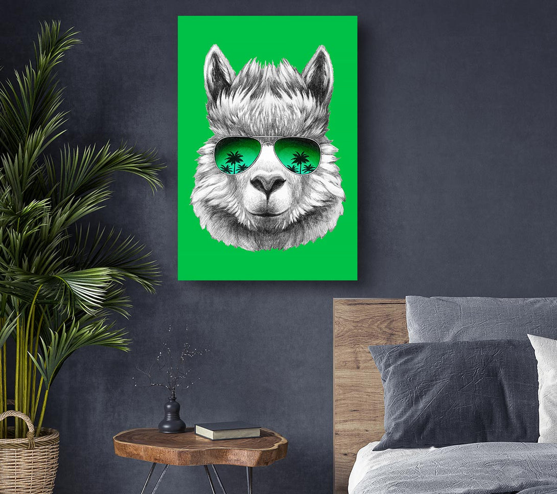  A Canvas Print of Llama Cool Canvas Wall Art