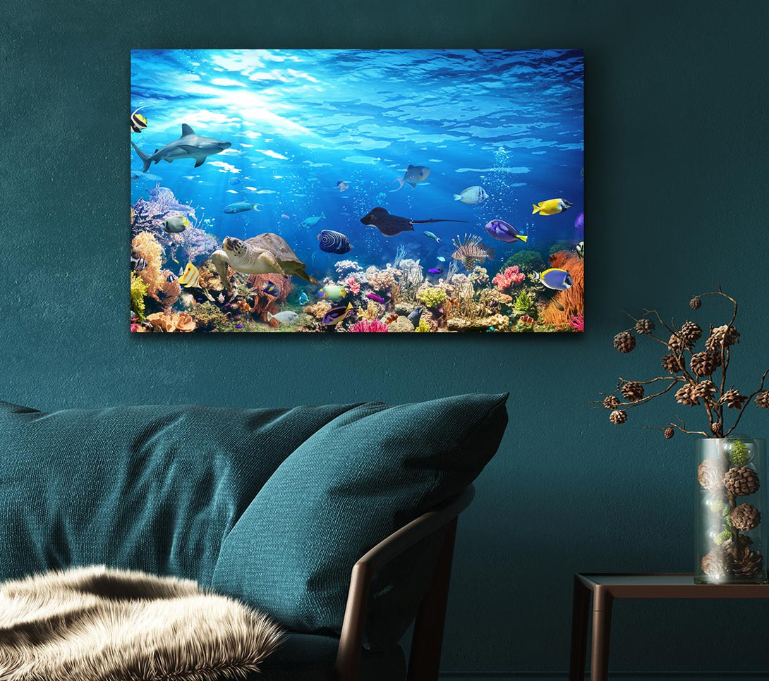  A Canvas Print of Creatures in the reef Canvas Print