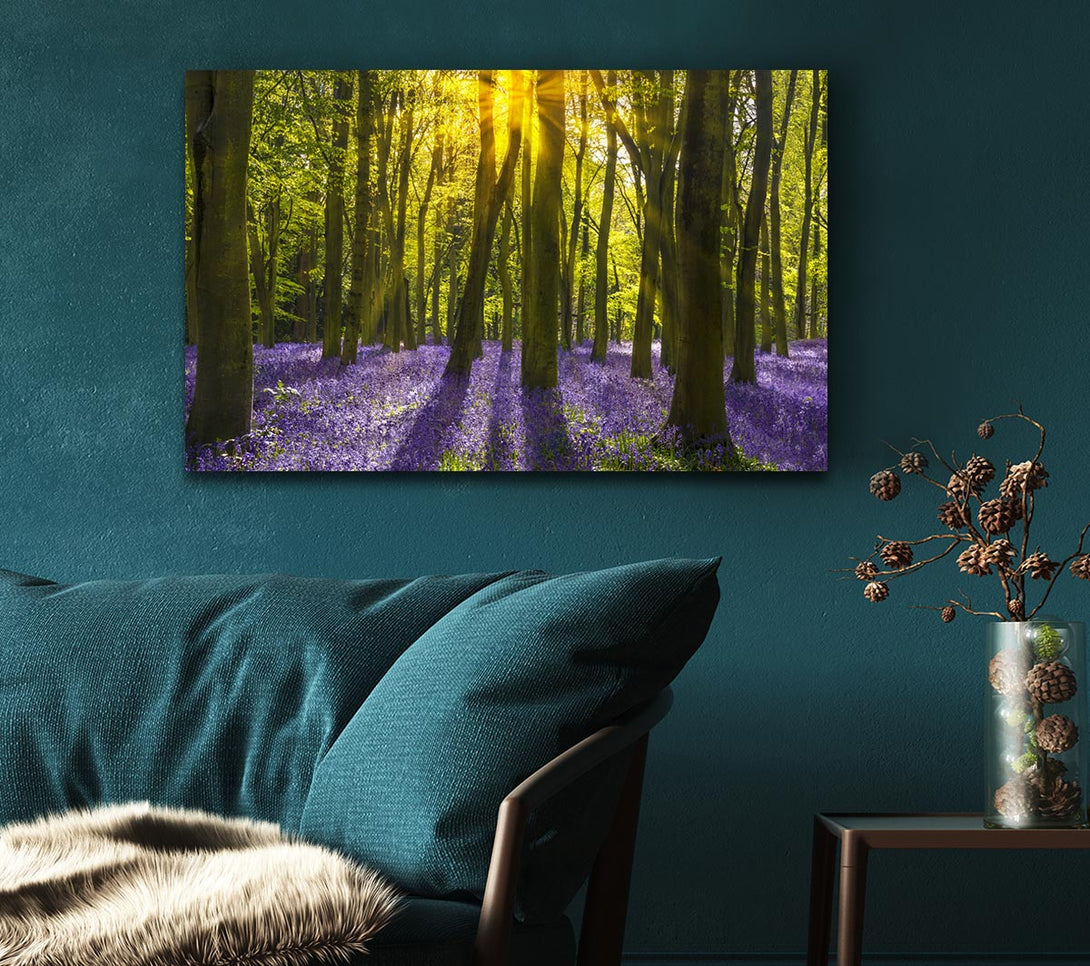  A Canvas Print of Purple flower greenland Canvas Art