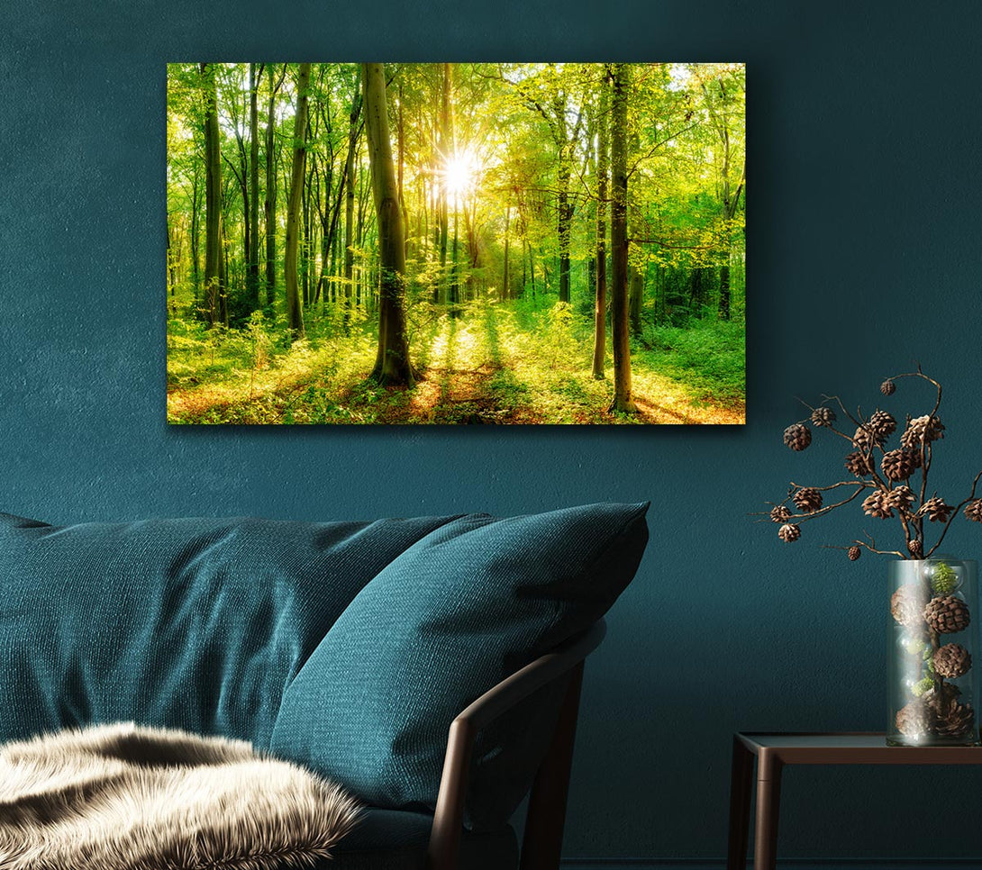  A Canvas Print of Green forest beauty Canvas Print