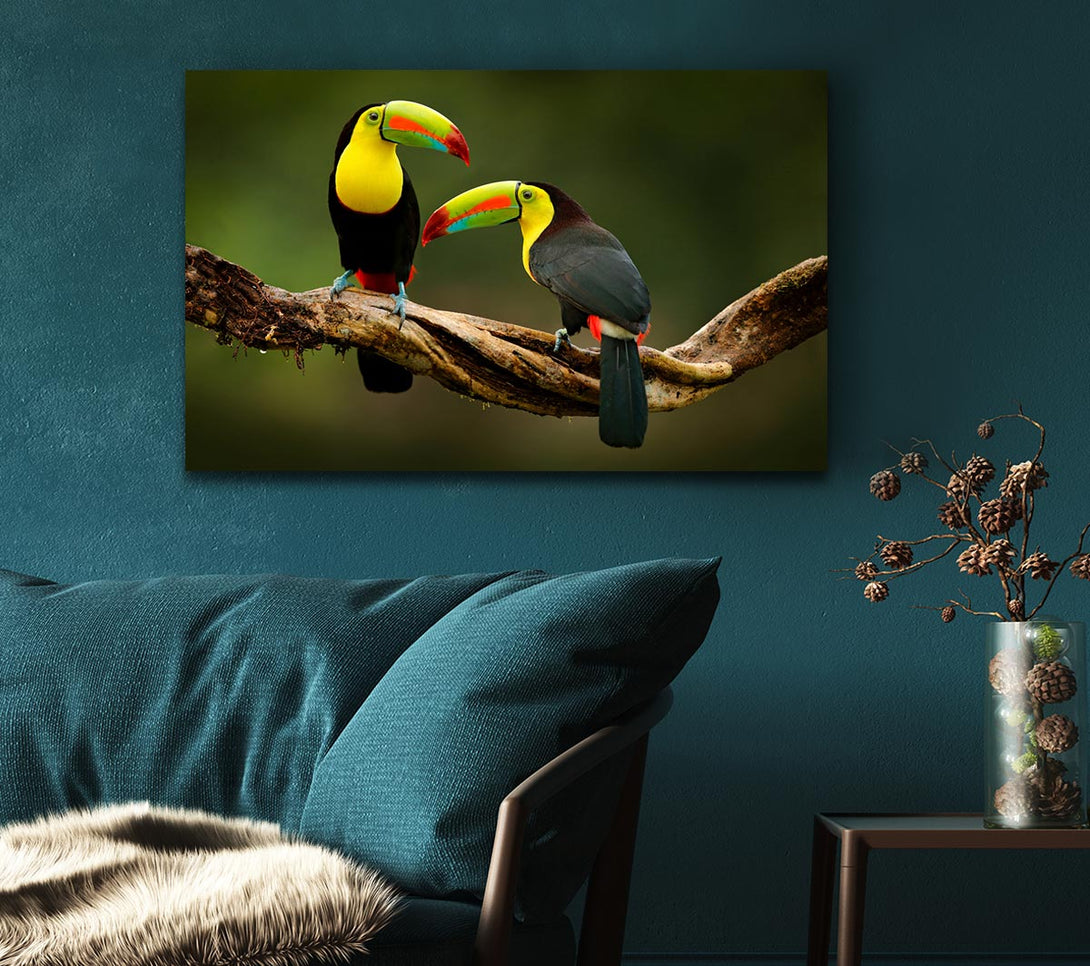  A Canvas Print of Two Toucans on branch Canvas Print