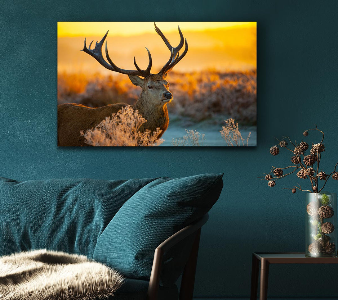  A Canvas Print of Crisp winters stag Canvas Art