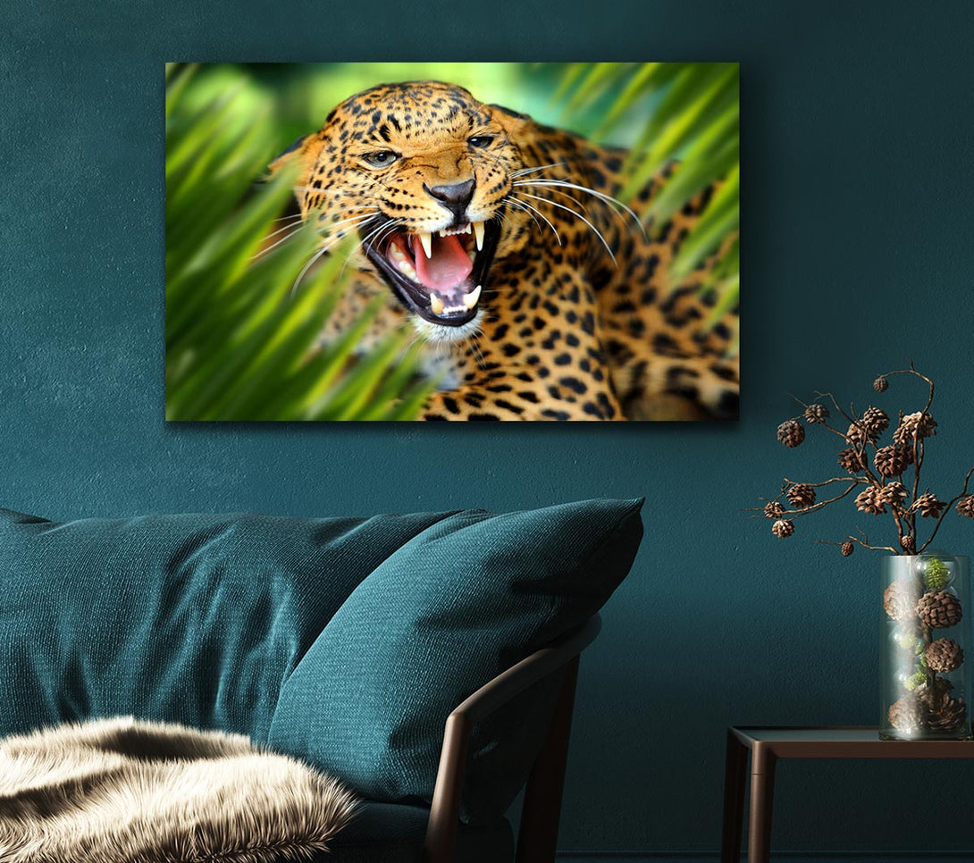  A Canvas Print of Fierce leopard in the grass Canvas Print