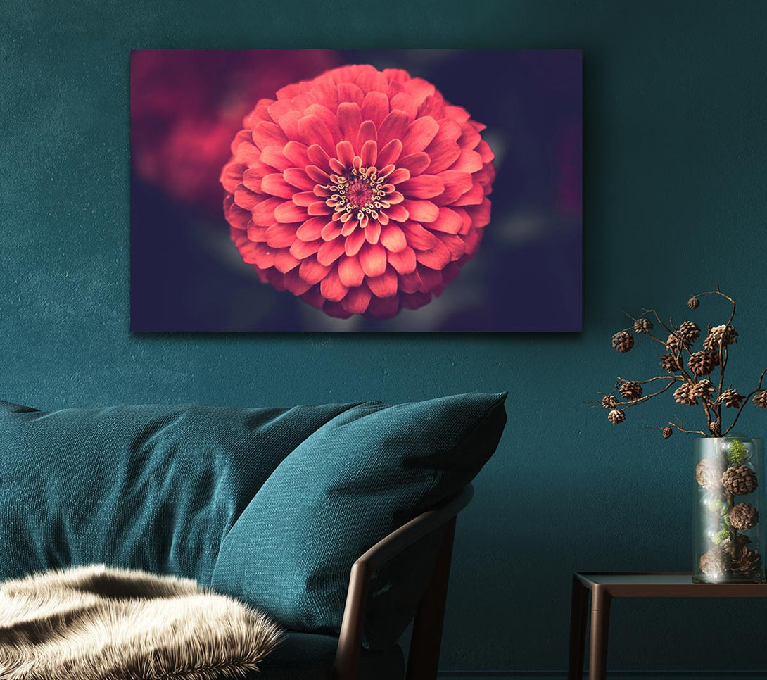  A Canvas Print of Circular flower perfectly balanced Canvas Wall Art