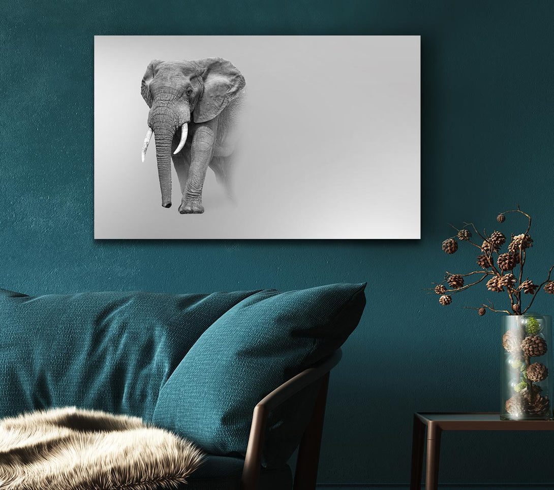  A Canvas Print of Elephant In The Mist Canvas Wall Art