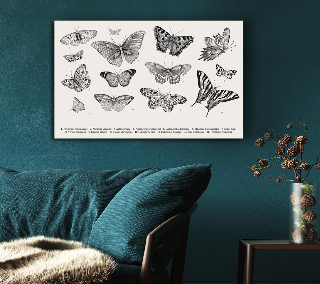 A Canvas Print of British Butterflies Canvas Art