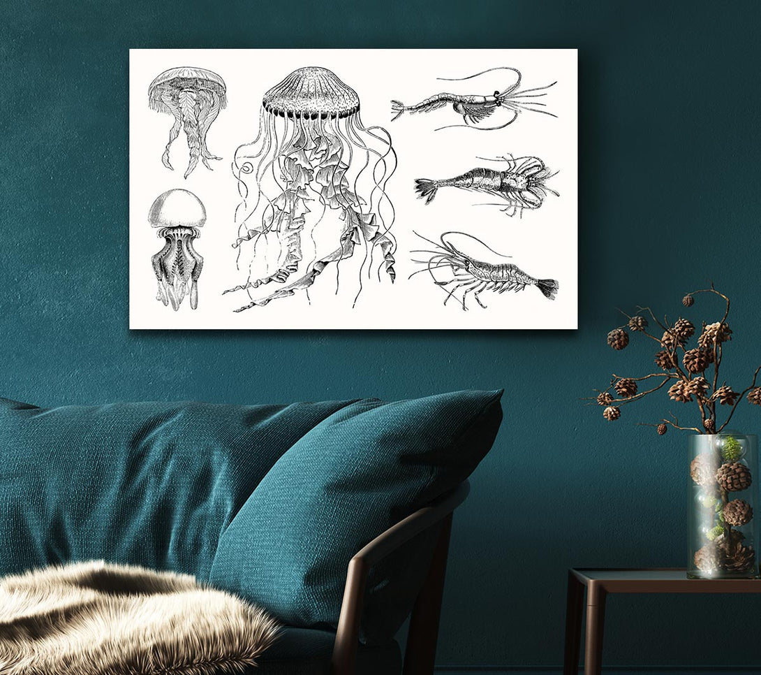  A Canvas Print of Jellyfish And Shrimp Canvas Wall Art