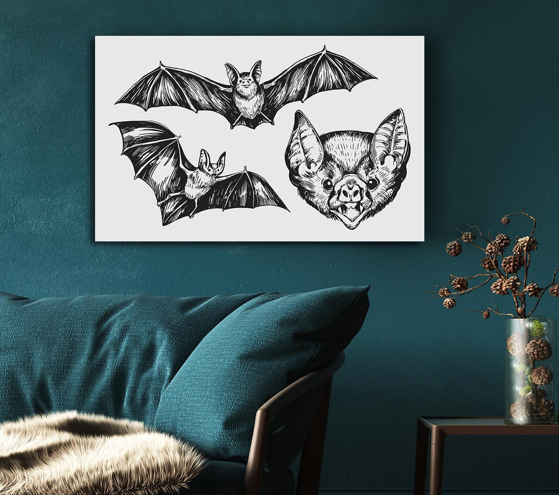  A Canvas Print of The Trio Of Bat Illustrations Canvas Art
