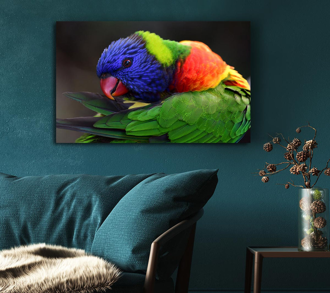  A Canvas Print of Colourful Parrot Feather Peck Canvas Art