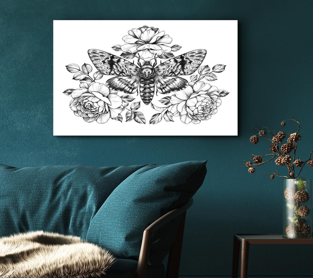  A Canvas Print of Death Head Moth Canvas Wall Art