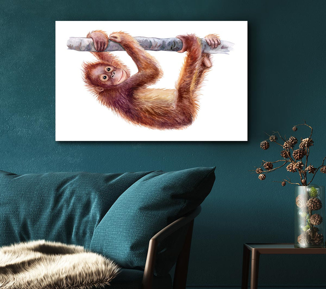  A Canvas Print of Hanging On A Branch Orangutan Canvas Art