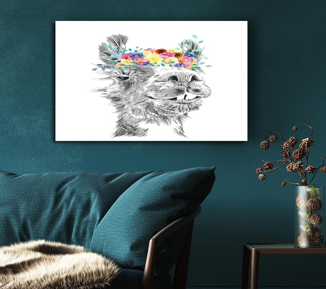  A Canvas Print of The Pretty Camel Canvas Art
