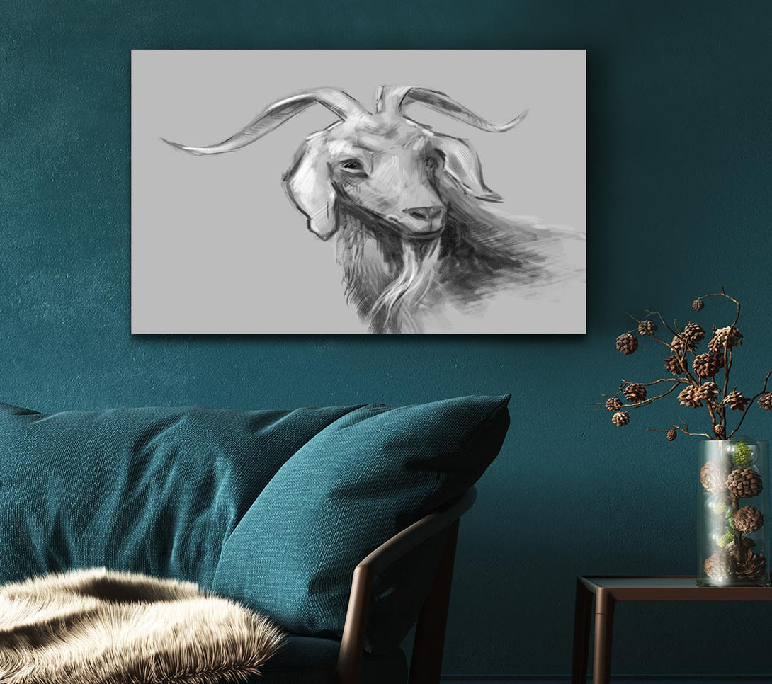  A Canvas Print of The Sketch Goat Canvas Art