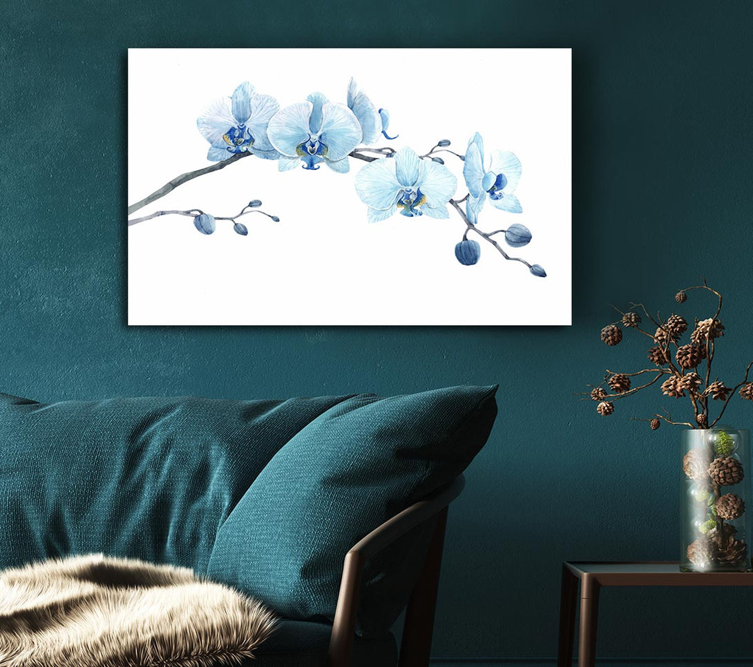  A Canvas Print of The Blue Orchid Curve Canvas Art
