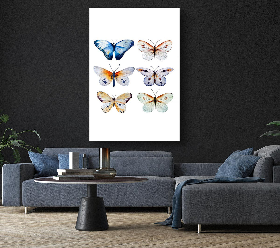  A Canvas Print of Butterfly Breeds Canvas Art