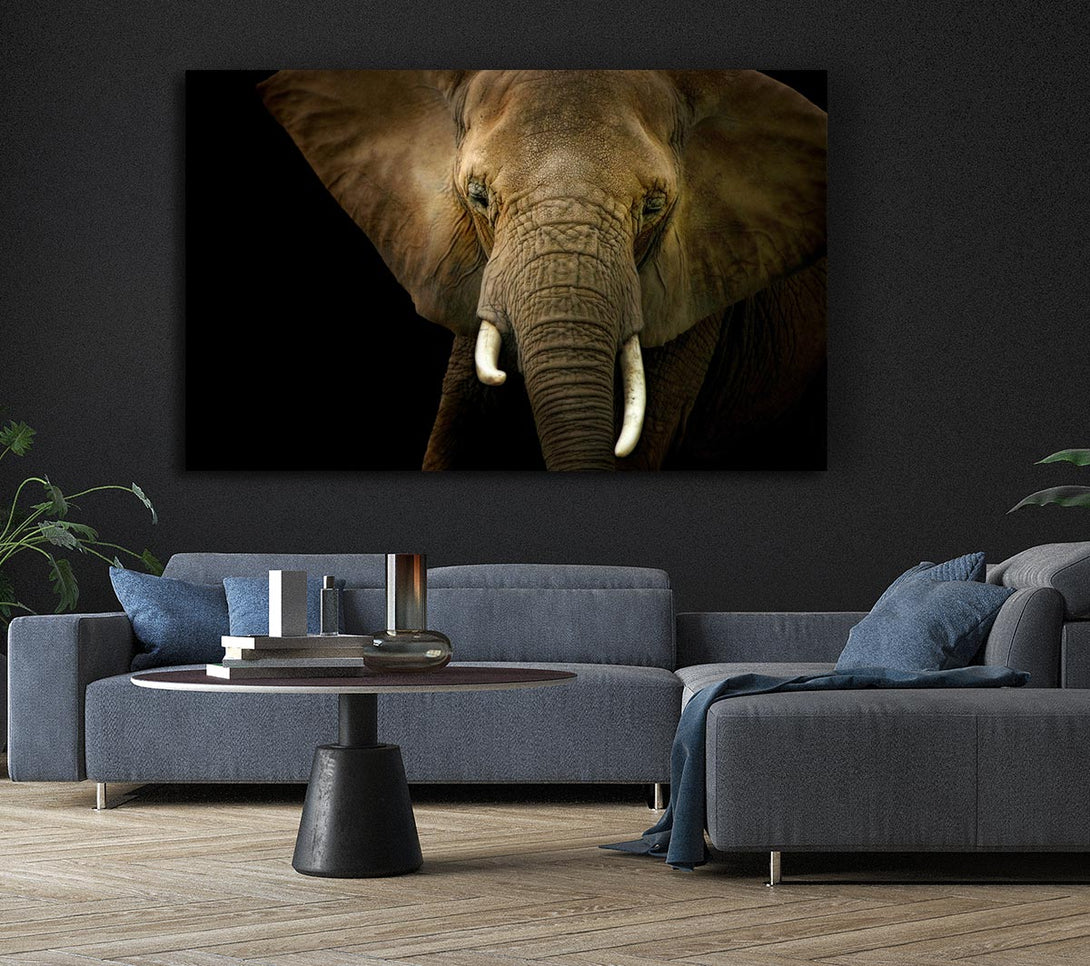  A Canvas Print of Stunning Elephant Face Canvas Wall Art