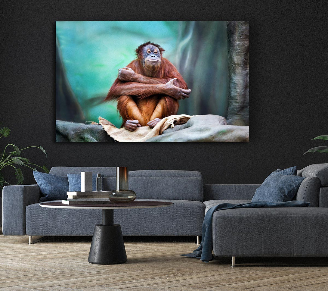  A Canvas Print of Orangutan Forest Canvas Print