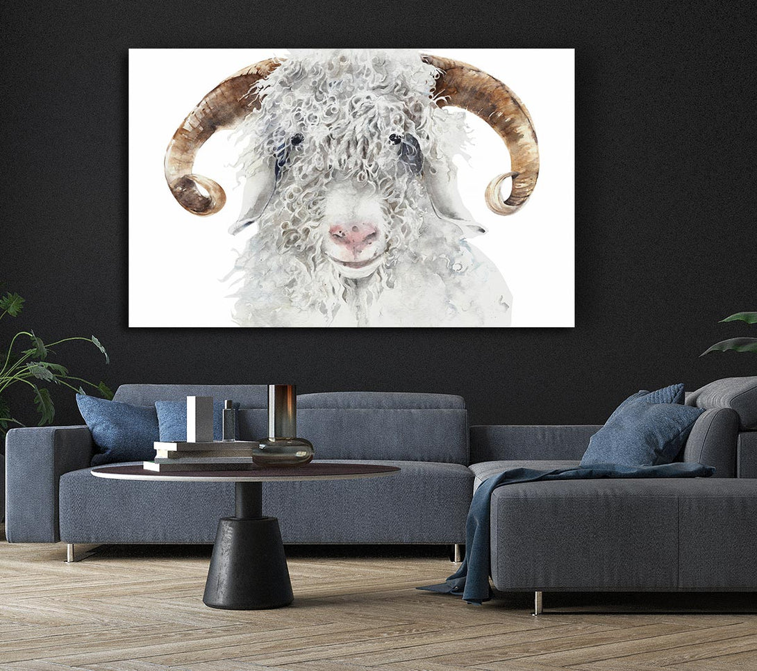  A Canvas Print of Sheep Beauty Canvas Wall Art