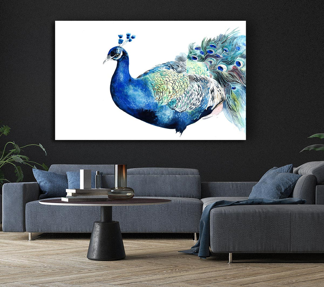  A Canvas Print of Peacock Blues Canvas Print