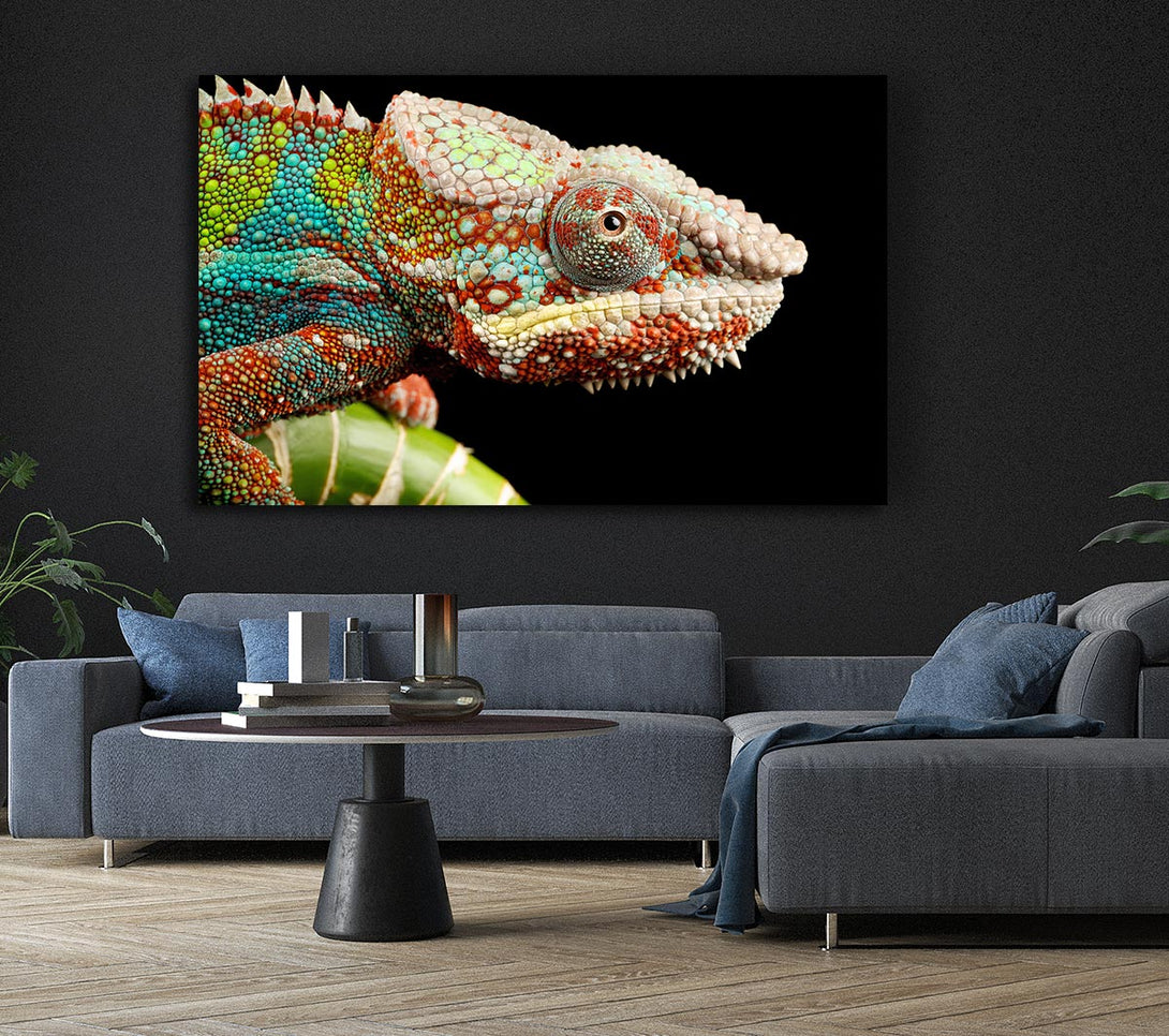  A Canvas Print of Chameleon Face Canvas Print