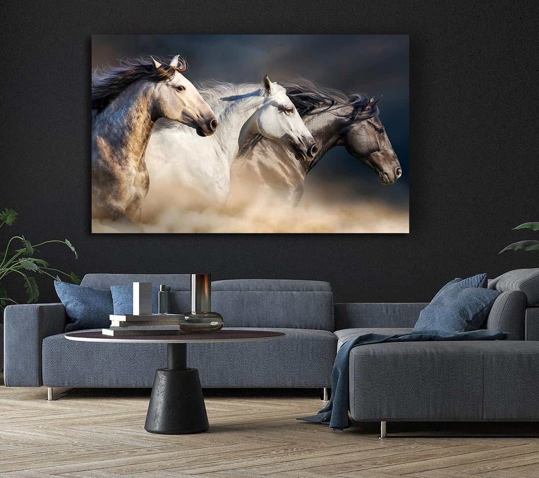  A Canvas Print of Wild Horse Trio Canvas Print