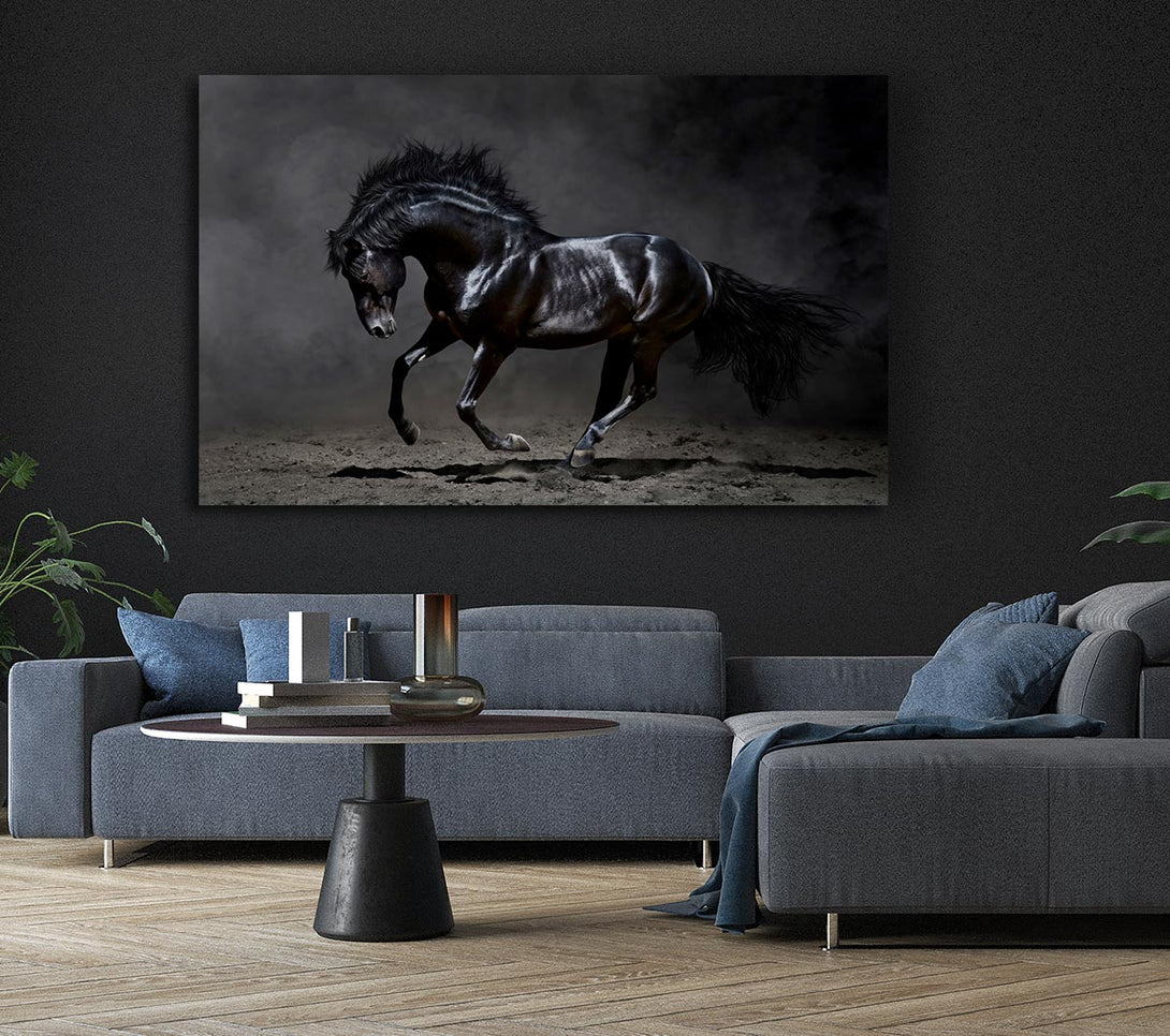  A Canvas Print of Black Beauty Horse Canvas Print