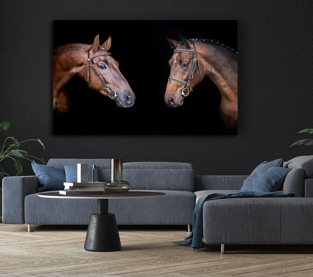  A Canvas Print of Horse Duo Canvas Print