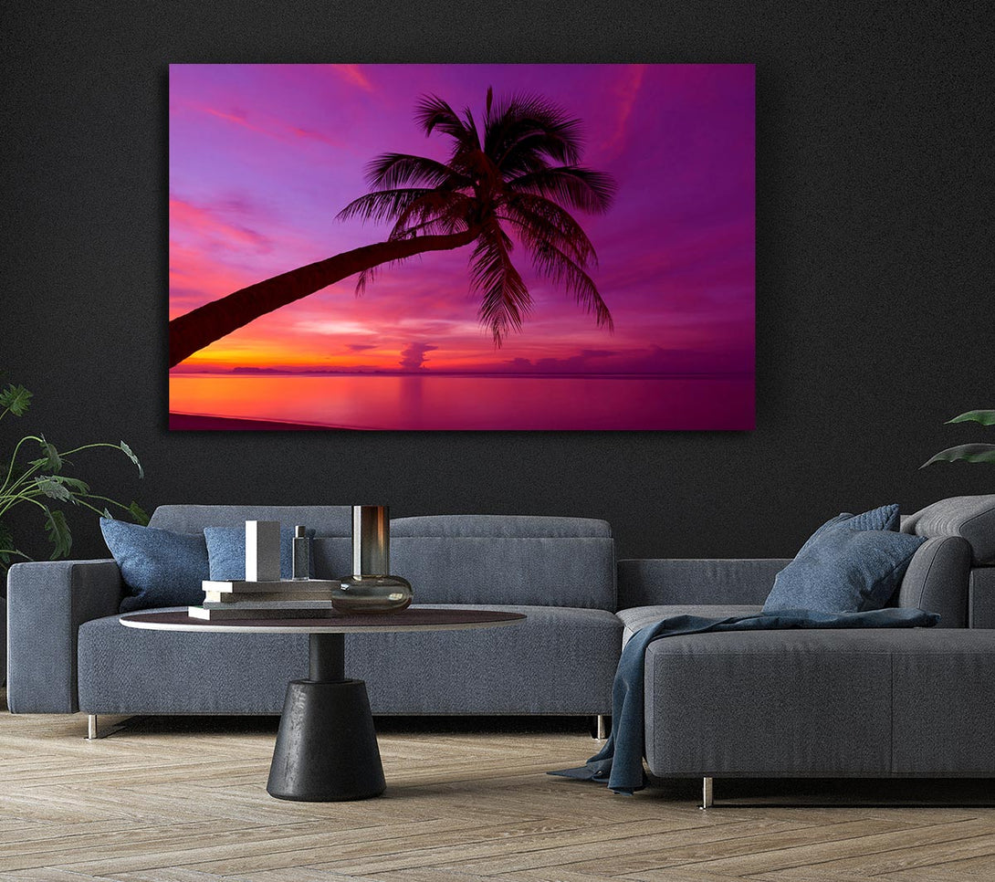  A Canvas Print of Palm Tree Skies Canvas Print