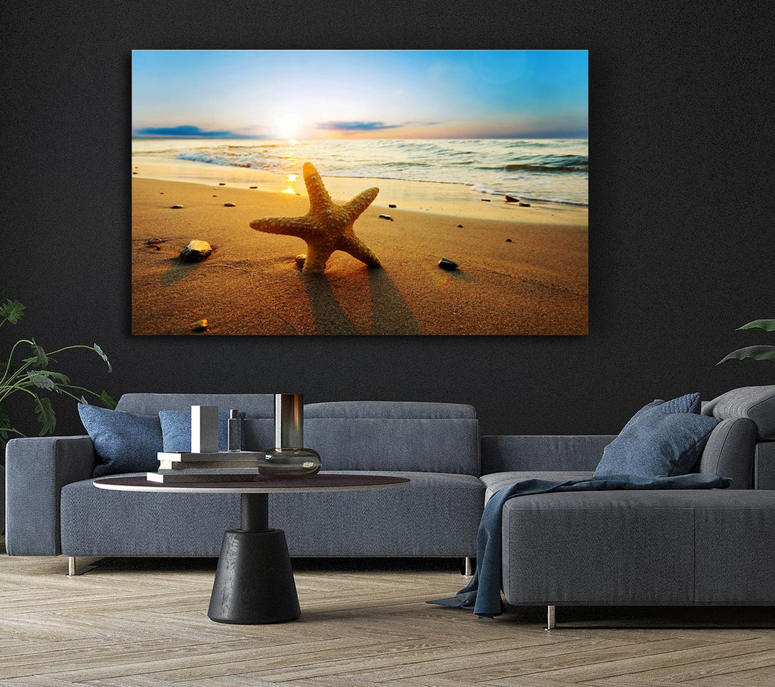  A Canvas Print of Starfish Sun Glow Canvas Print
