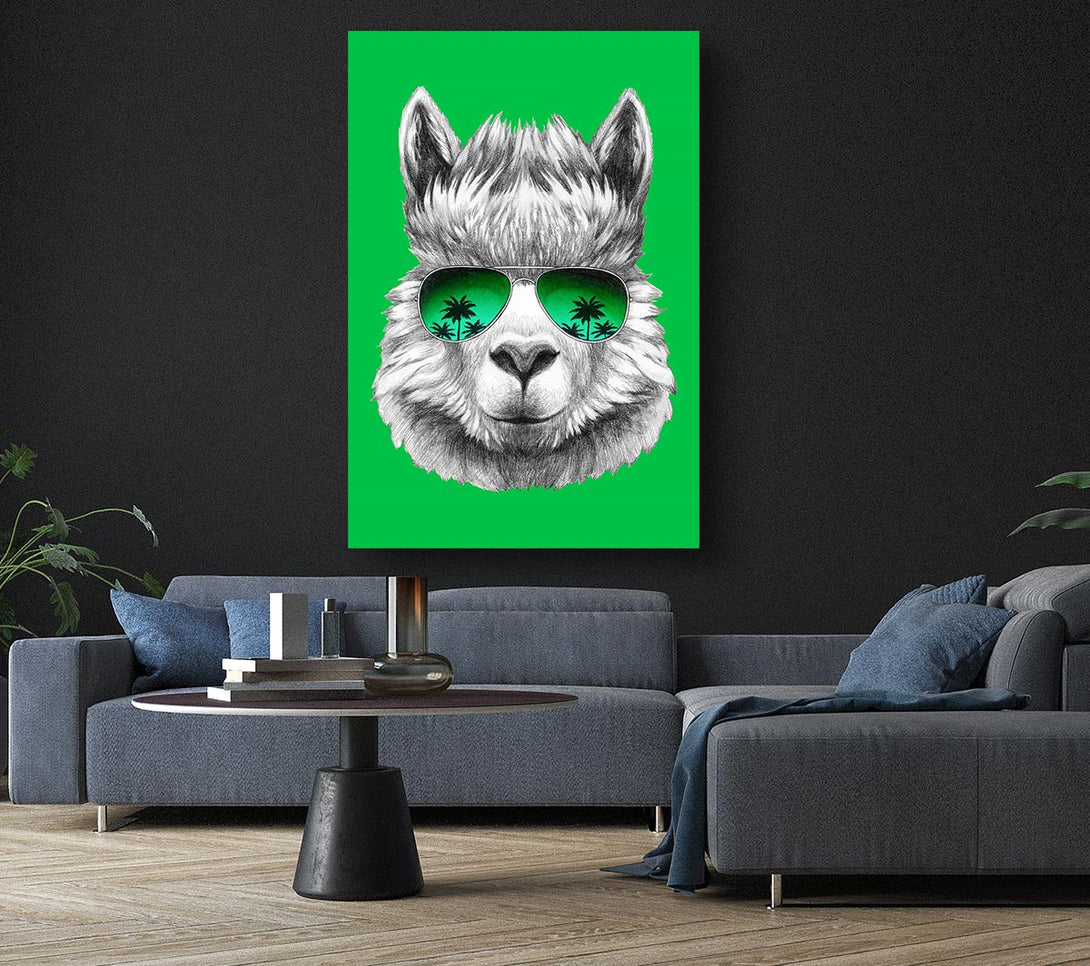  A Canvas Print of Llama Cool Canvas Wall Art