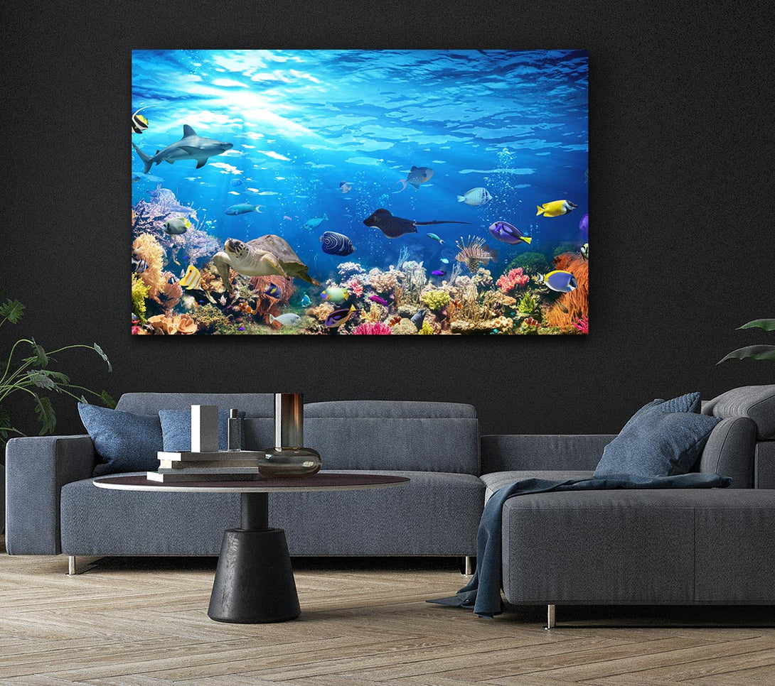  A Canvas Print of Creatures in the reef Canvas Print