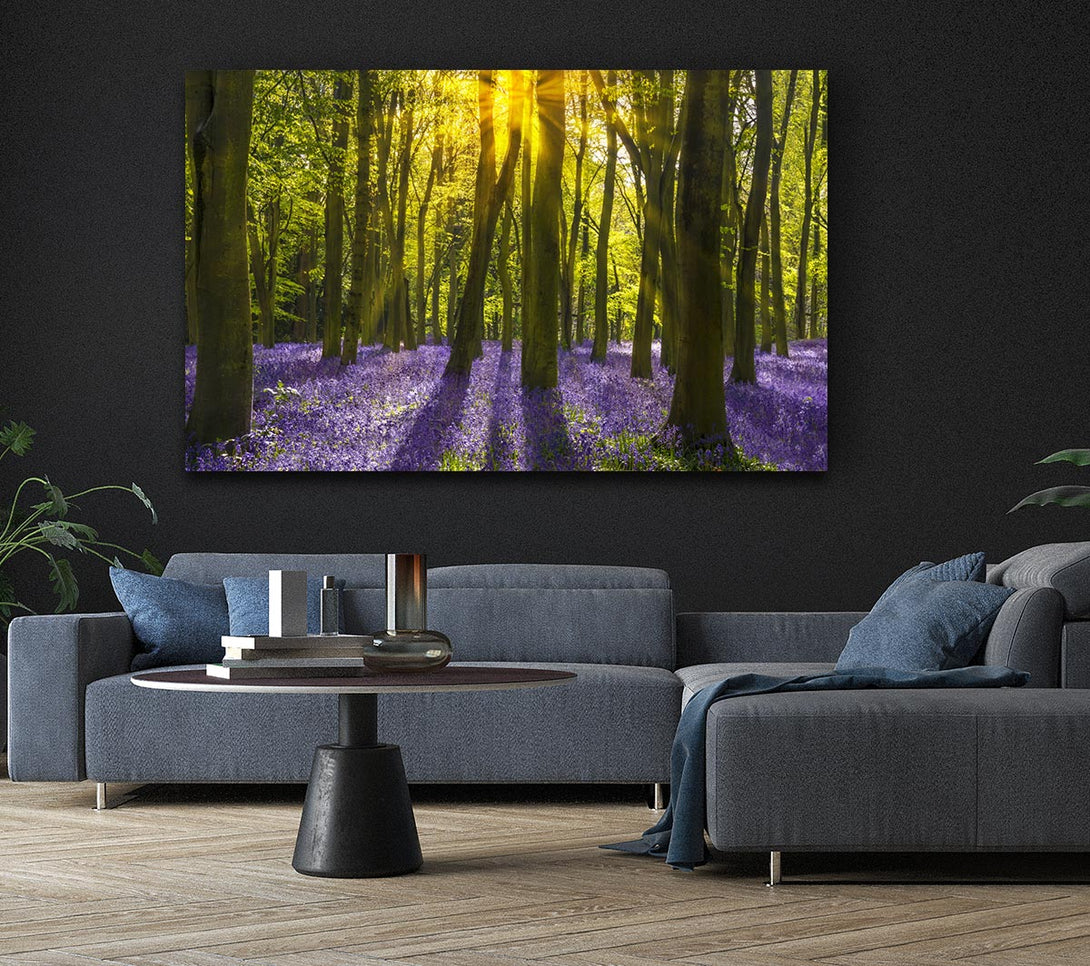  A Canvas Print of Purple flower greenland Canvas Art