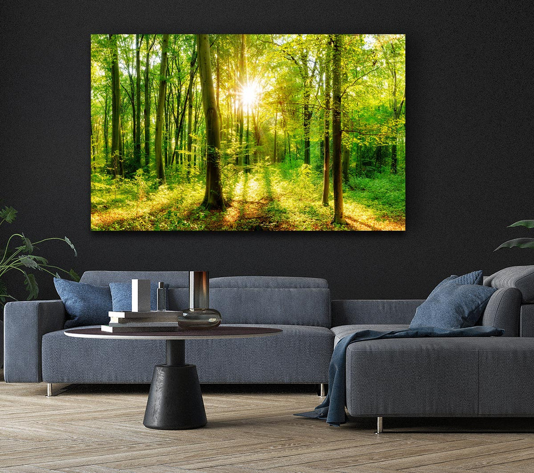  A Canvas Print of Green forest beauty Canvas Print