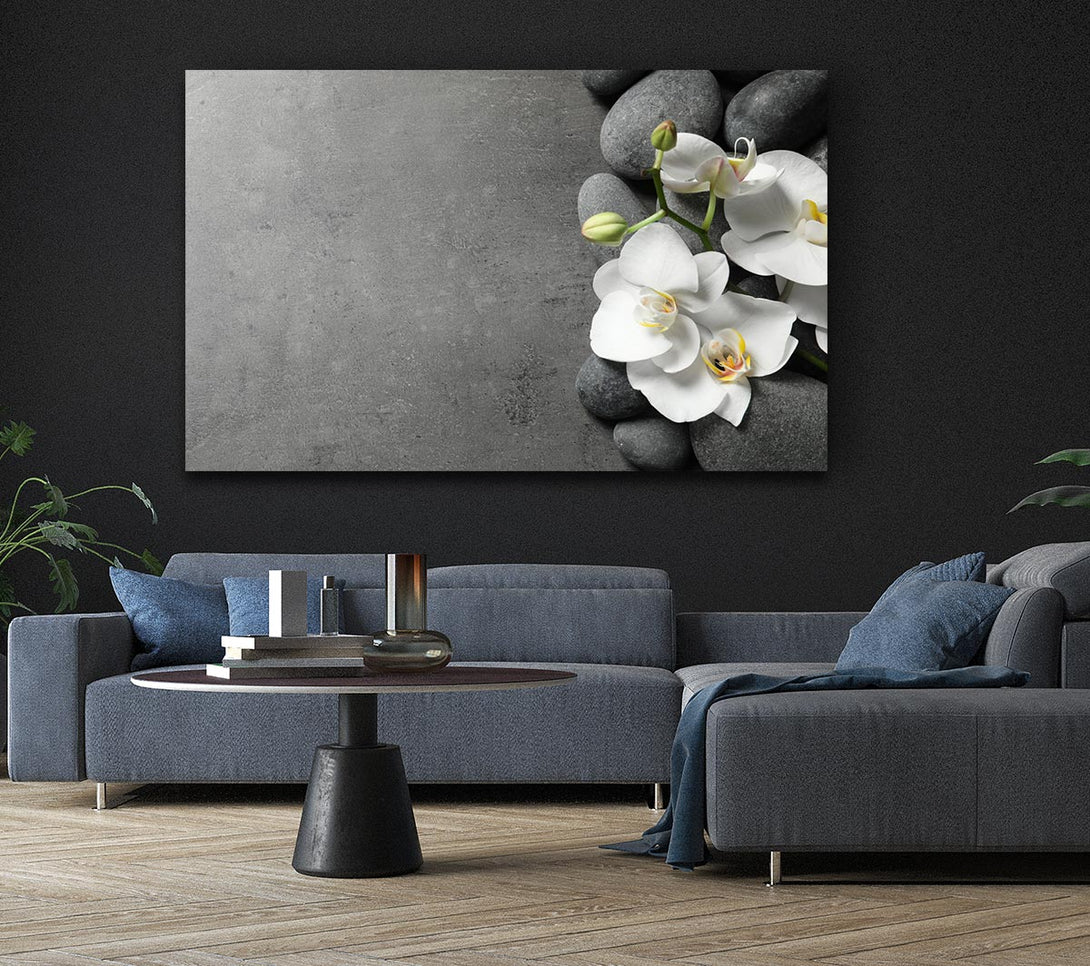 Picture of White Orchid on grey pebbles Canvas Print Wall Art