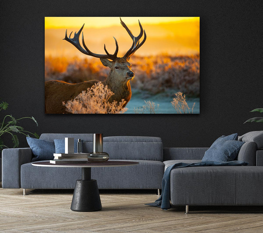  A Canvas Print of Crisp winters stag Canvas Art
