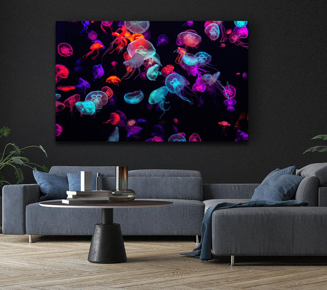  A Canvas Print of Neon Jellyfish frenzy Canvas Print