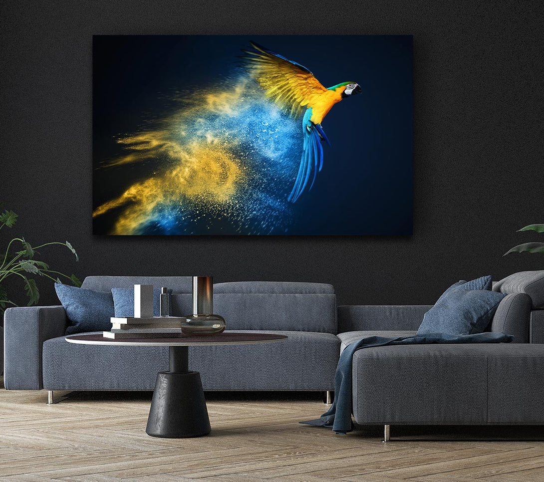  A Canvas Print of powder parrot take off Canvas Wall Art