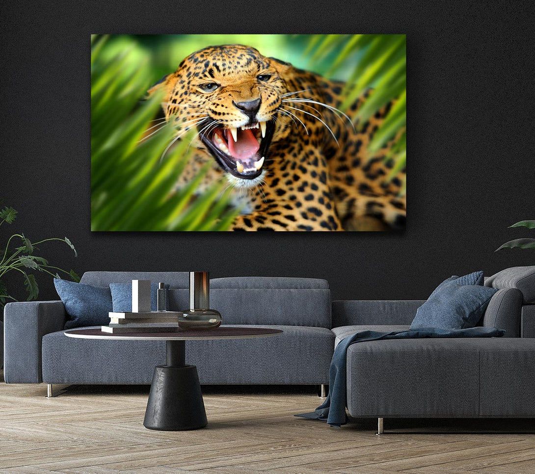  A Canvas Print of Fierce leopard in the grass Canvas Print