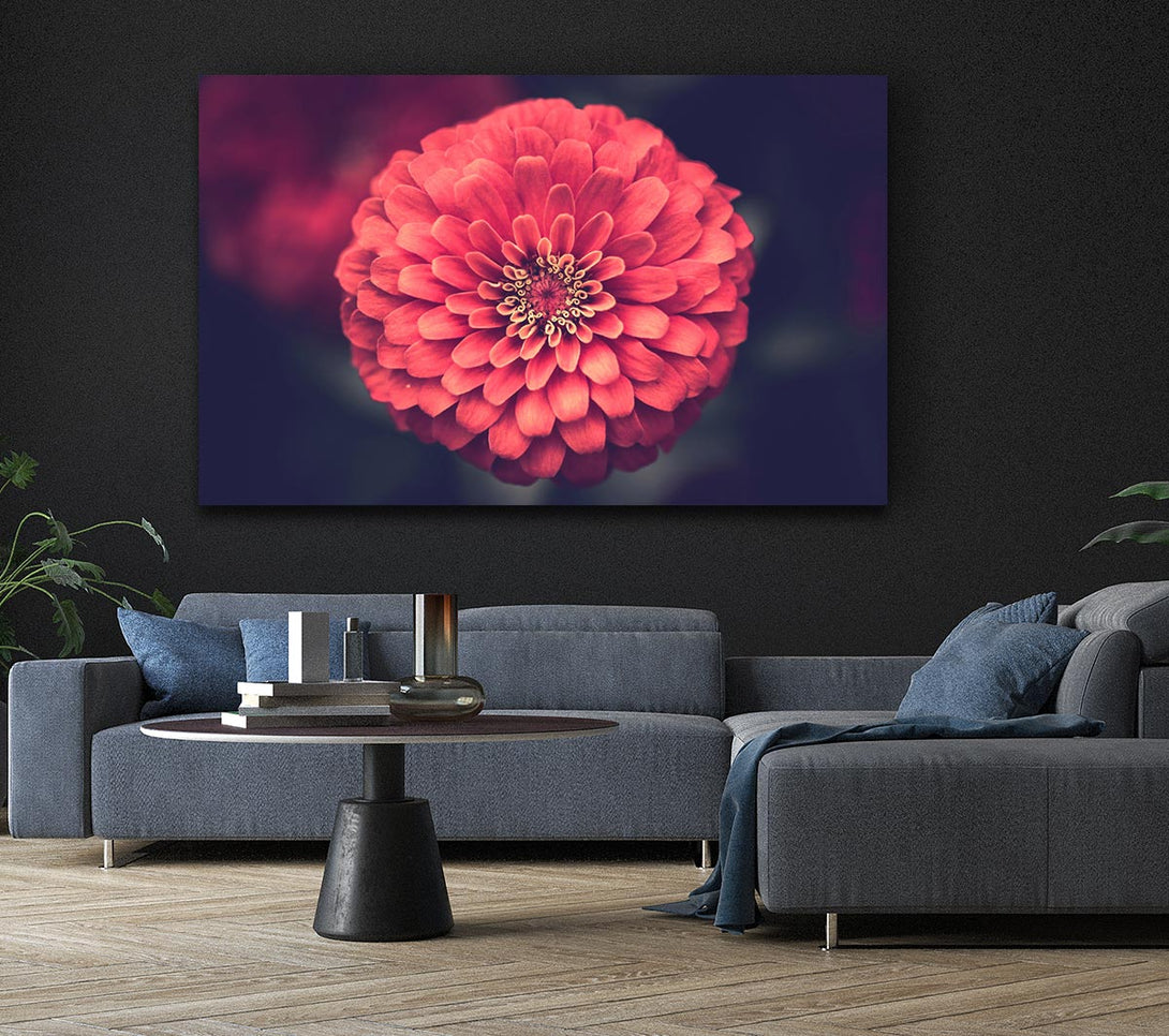  A Canvas Print of Circular flower perfectly balanced Canvas Wall Art