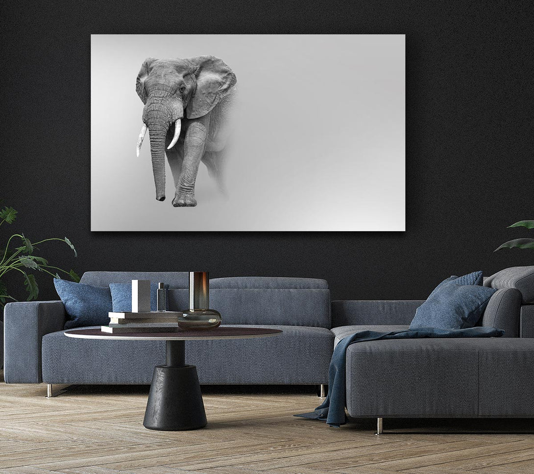  A Canvas Print of Elephant In The Mist Canvas Wall Art