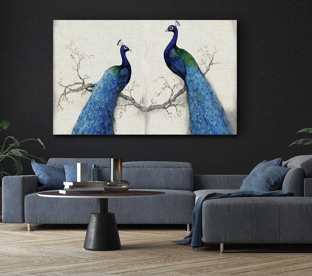 A Canvas Print of The Peacock Duo Canvas Wall Art