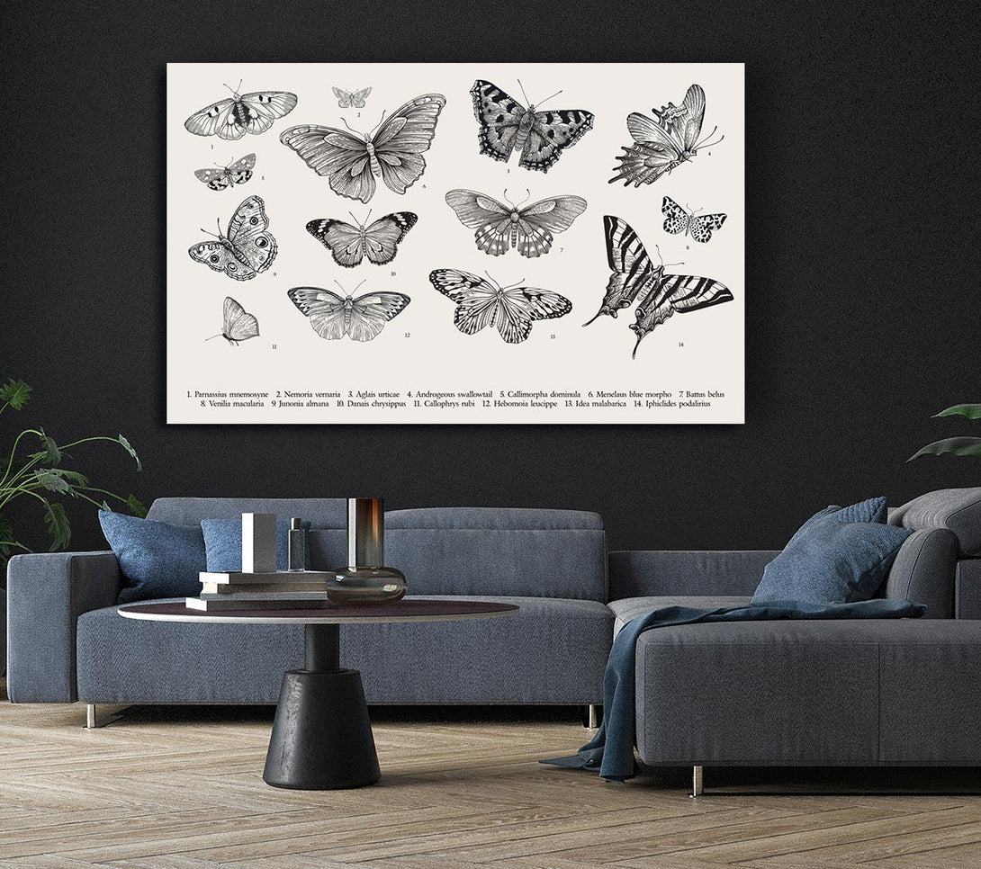  A Canvas Print of British Butterflies Canvas Art