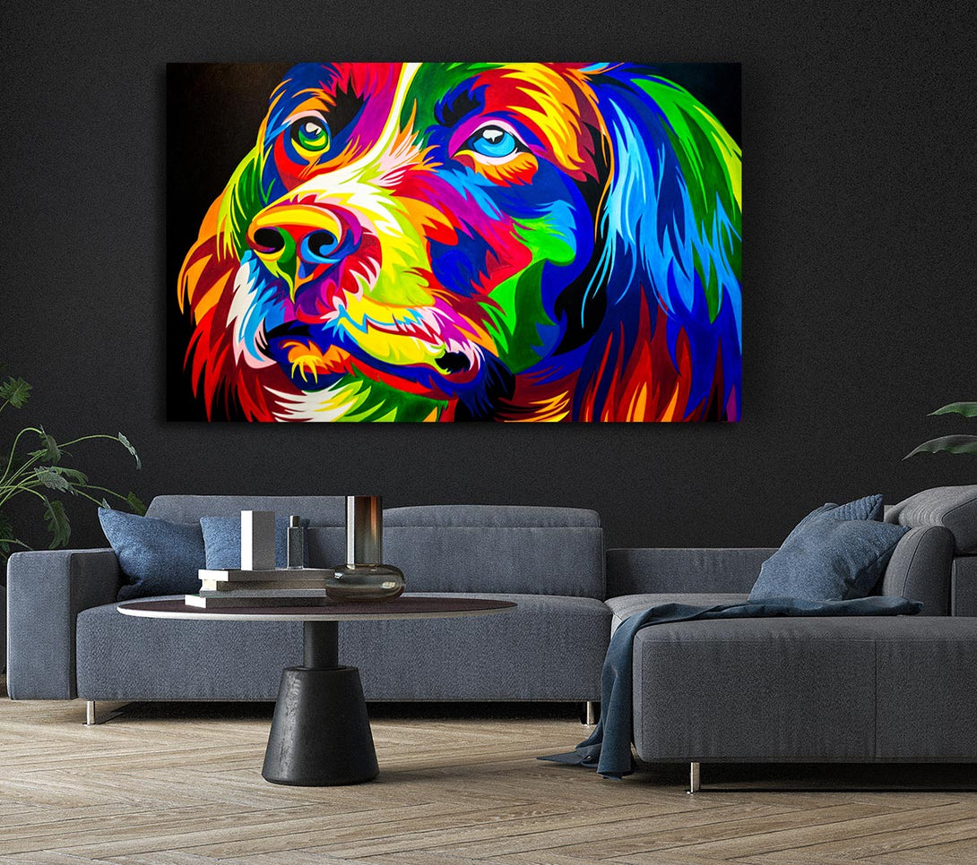  A Canvas Print of The Stunning Colourful Dog Canvas Wall Art