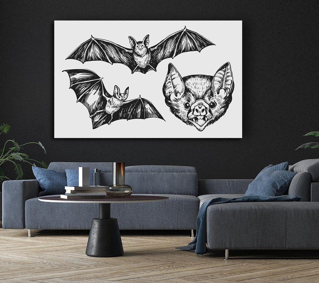  A Canvas Print of The Trio Of Bat Illustrations Canvas Art