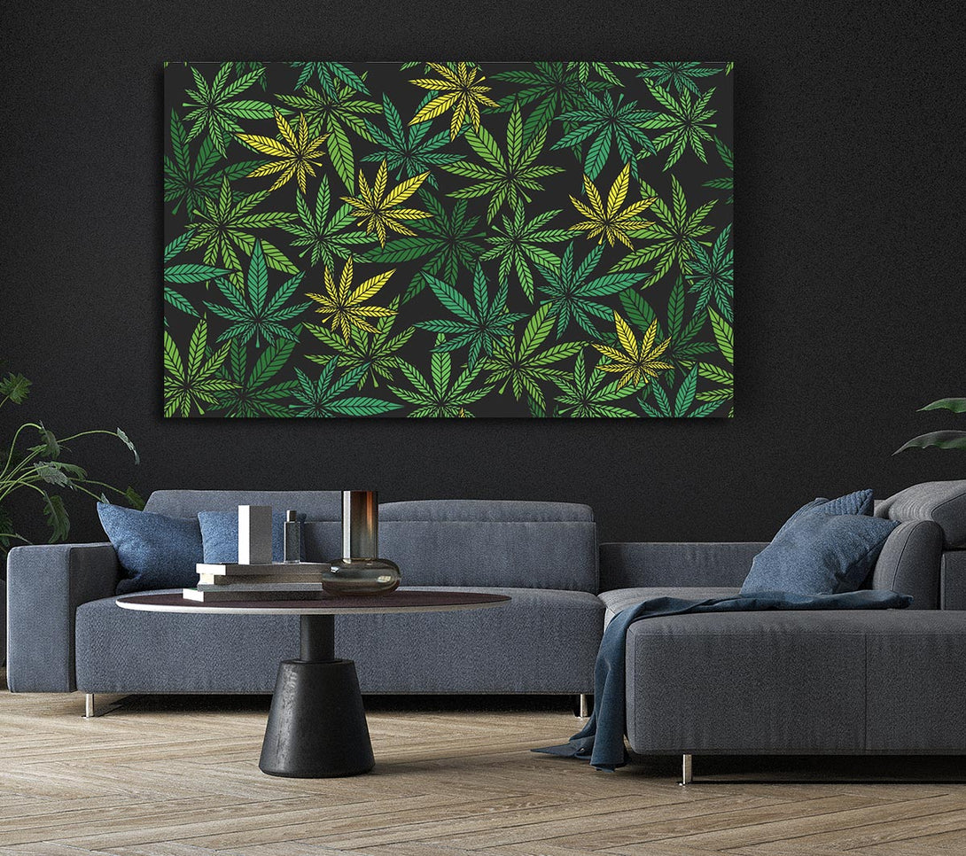  A Canvas Print of Cannabis Leaves Canvas Print