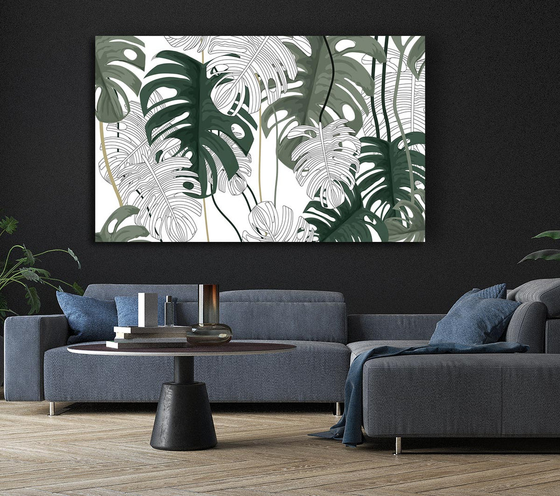  A Canvas Print of Cheese Plant Leaves Canvas Wall Art