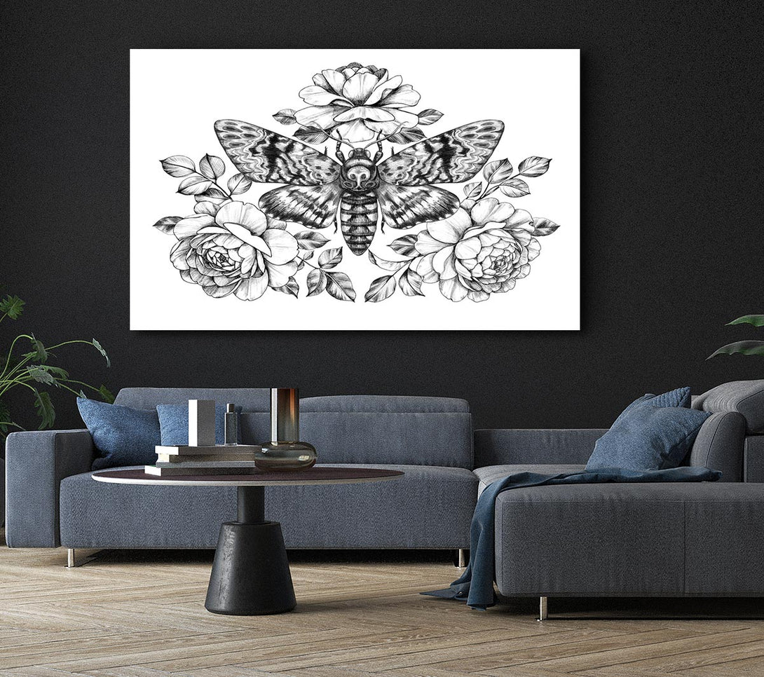  A Canvas Print of Death Head Moth Canvas Wall Art