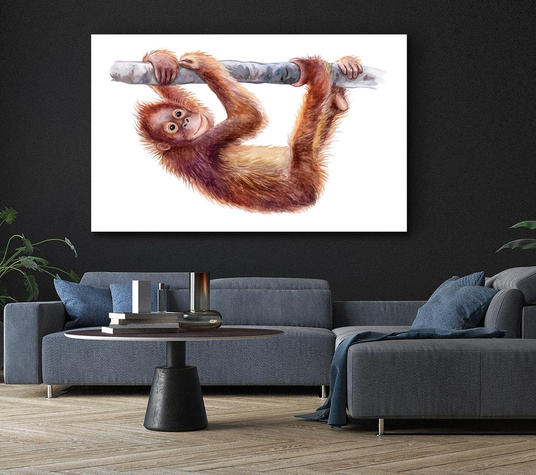  A Canvas Print of Hanging On A Branch Orangutan Canvas Art