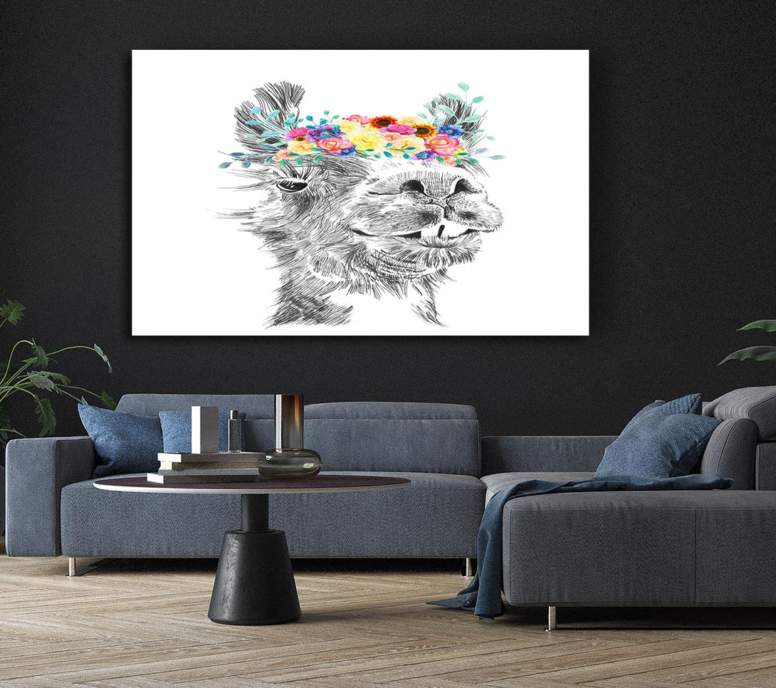 A Canvas Print of The Pretty Camel Canvas Art
