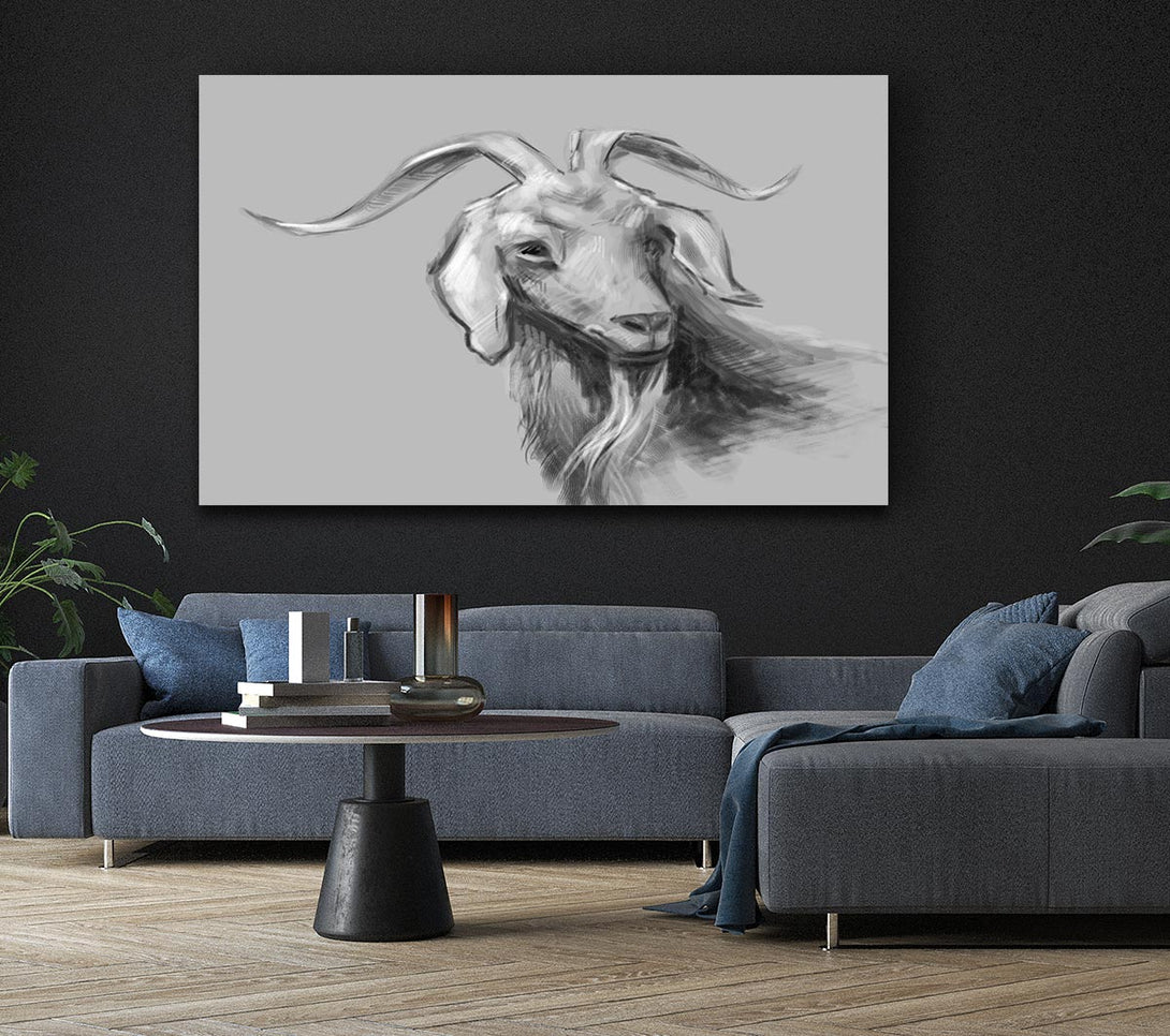  A Canvas Print of The Sketch Goat Canvas Art